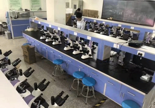 生物91精品久色蜜桃二区.png