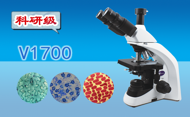 生物91精品久色蜜桃二区.png