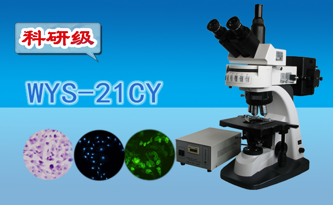 荧光91精品久色蜜桃二区.jpg