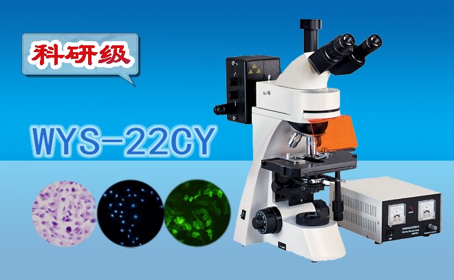荧光91精品久色蜜桃二区的使用方法