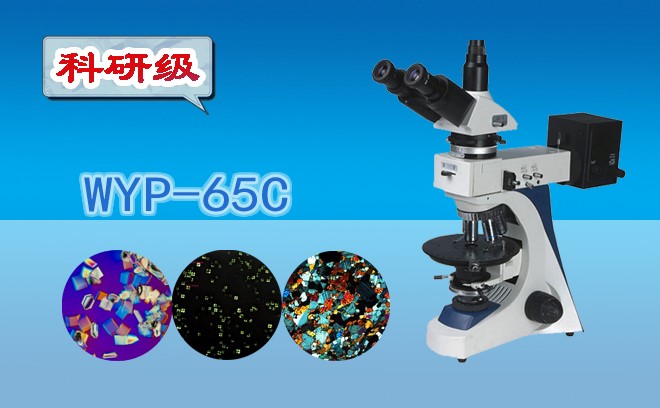 偏光91精品久色蜜桃二区.jpg