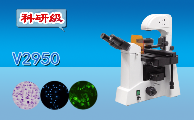 荧光91精品久色蜜桃二区.png